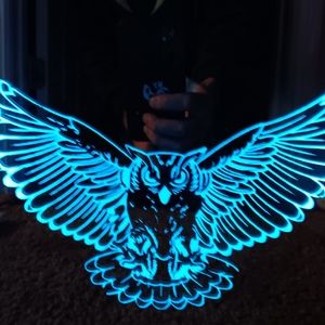 Owl etched lighted mirror